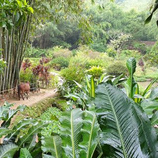 Ảnh người dùng đánh giá Khu Nghĩ Dưỡng Panhou Retreat Ảnh người dùng đánh giá Khu Nghĩ Dưỡng Panhou Retreat