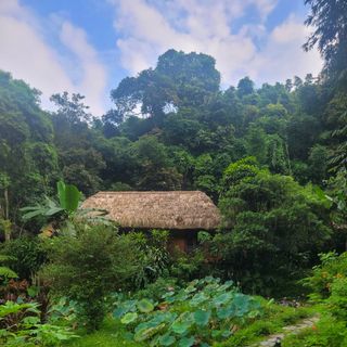 Ảnh người dùng đánh giá Khu Nghĩ Dưỡng Panhou Retreat Ảnh người dùng đánh giá Khu Nghĩ Dưỡng Panhou Retreat