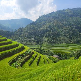 Ảnh người dùng đánh giá Khu Nghĩ Dưỡng Panhou Retreat Ảnh người dùng đánh giá Khu Nghĩ Dưỡng Panhou Retreat