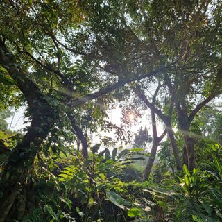 Ảnh người dùng đánh giá Khu Nghĩ Dưỡng Panhou Retreat Ảnh người dùng đánh giá Khu Nghĩ Dưỡng Panhou Retreat