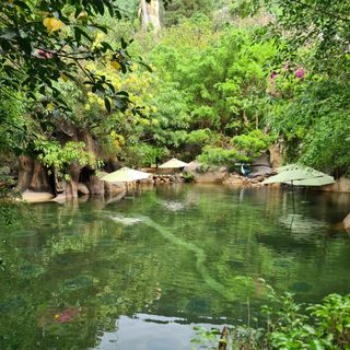 Ảnh người dùng đánh giá Khu Nghỉ Dưỡng Suối Khoáng Nóng Núi Thần Tài Ebisu Onsen Đà Nẵng Ảnh người dùng đánh giá Khu Nghỉ Dưỡng Suối Khoáng Nóng Núi Thần Tài Ebisu Onsen Đà Nẵng