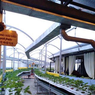 Ảnh người dùng đánh giá Khách sạn Ladalat Ảnh người dùng đánh giá Khách sạn Ladalat