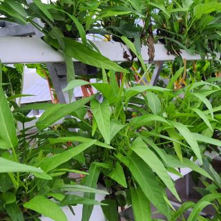 Ảnh người dùng đánh giá Khách sạn Ladalat Ảnh người dùng đánh giá Khách sạn Ladalat