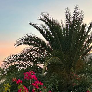Ảnh người dùng đánh giá Wyndham Grand KN Paradise Cam Ranh Ảnh người dùng đánh giá Wyndham Grand KN Paradise Cam Ranh