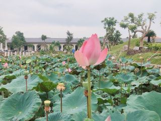 User's review image for Can Tho Eco Resort Powered by Aston
