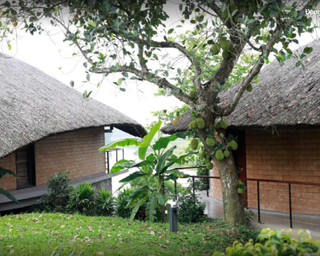 Ảnh người dùng đánh giá Tomodachi Retreat Làng Mít