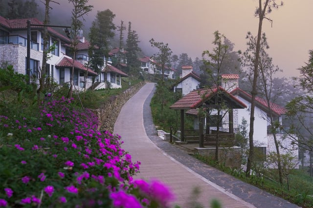 Ảnh Ville De Mont Mountain Resort