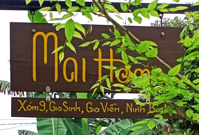 Ảnh Mai Home