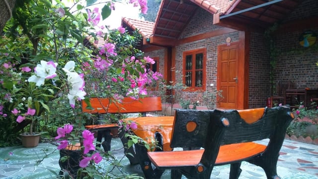 Ảnh Tam Cốc Thành đạt Homestay