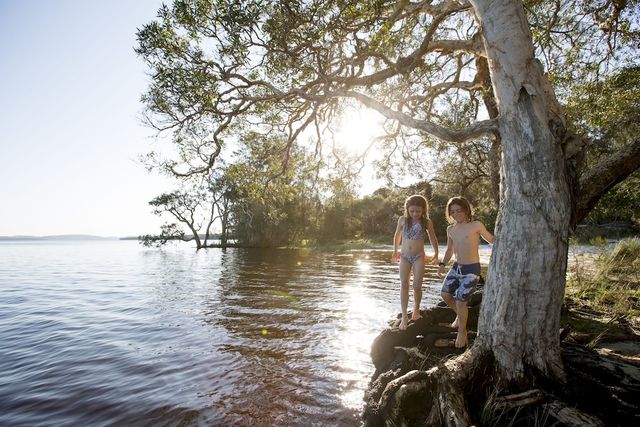 Ảnh NRMA Myall Shores Holiday Park