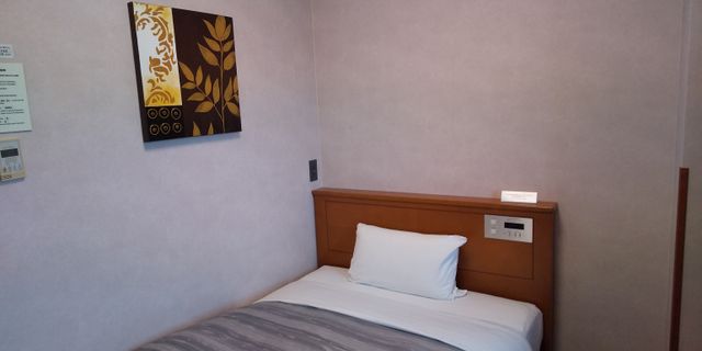 Ảnh Hotel Route-Inn Asahikawa Ekimae Ichijodori