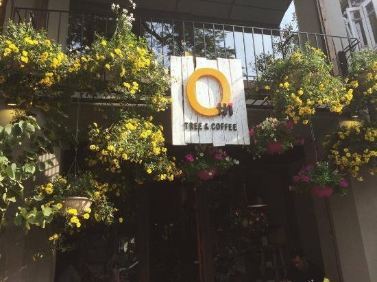 Ảnh Quán cafe Ohi Tree & Coffee