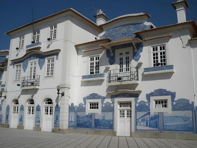 Ảnh Hotel Moliceiro