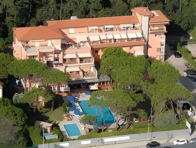 Ảnh Versilia Palace Hotel