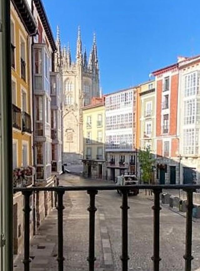 Ảnh APARTAMENTOS LA FLORA BURGOS