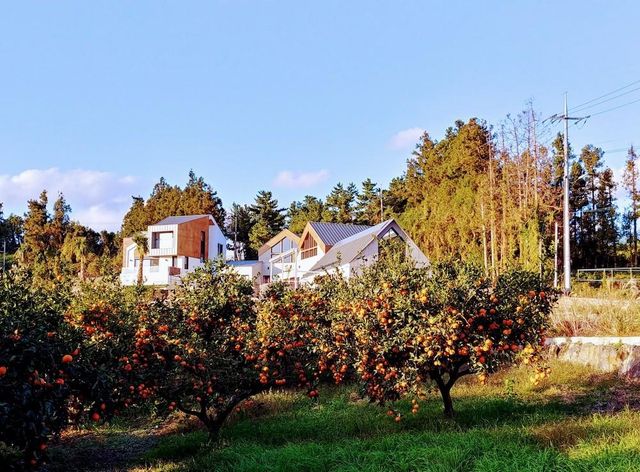 Ảnh Jeju Stay Walden