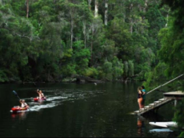 Ảnh WA Wilderness Pemberton