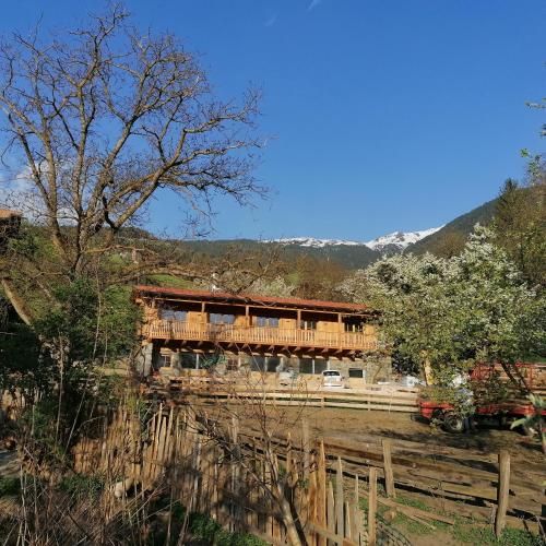 Ảnh NEUE Ferienwohnungen auf dem Gebreitnerhof, Urlaub auf dem Bauernhof