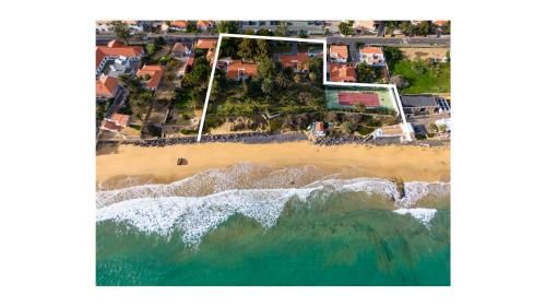 Ảnh Dune Beach CoLiving