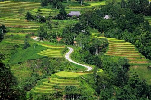 Ảnh Tay Eco House