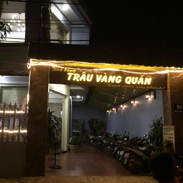 Ảnh Trâu Vàng Quán