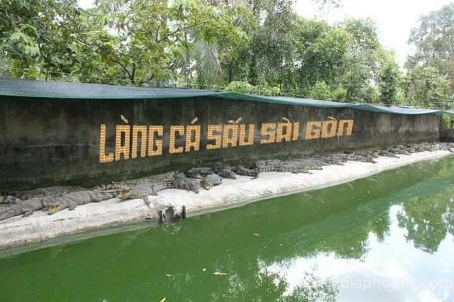 Ảnh Làng Cá Sấu Sài Gòn
