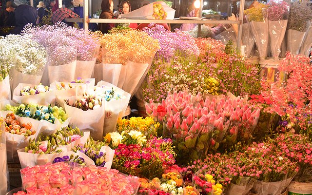 Ảnh Chợ hoa Quảng Bá
