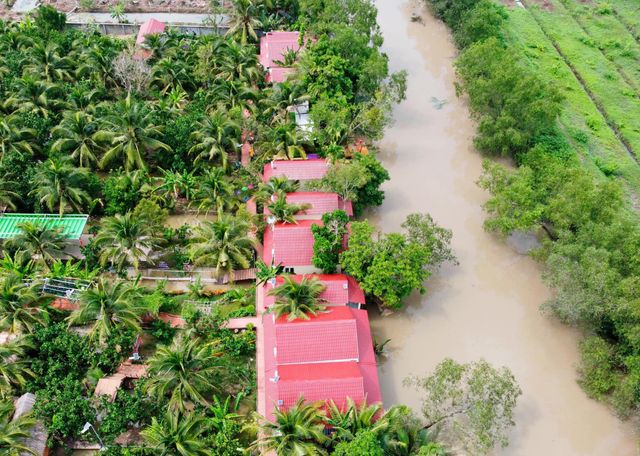 Ảnh Nghênh Xuân Farmstay