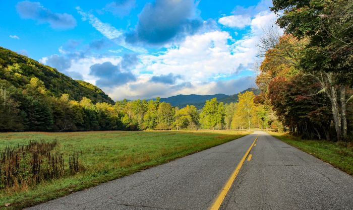 A vacant paved road lined by a yellow line, stretching through a grassy plain adorned with autumn-colored trees in Great Smoky Mountains National Park.