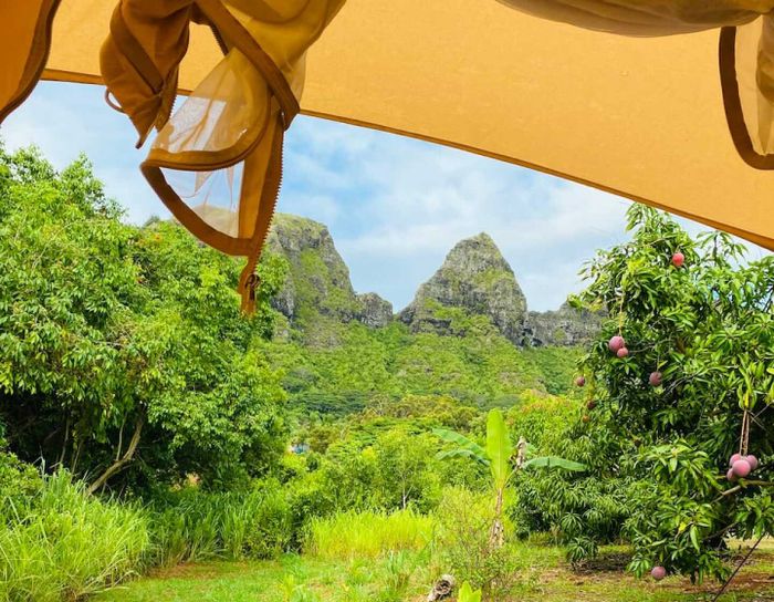 A view from inside a yellow tent, with green mountains and fruit trees in the distance.