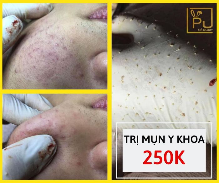 Hình ảnh Thỏ Spa - Phòng khám BT Mỹ Tho 2