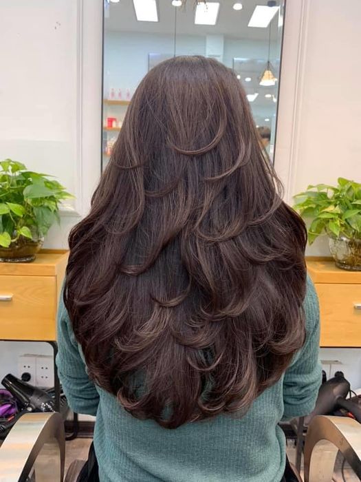 Hình ảnh Viện Tạo Mẫu Tóc Quốc Tế HOÀNG GIA 1