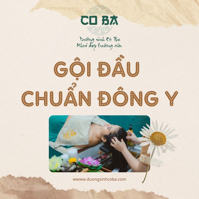 Dưỡng Sinh Cô Ba hình ảnh 1