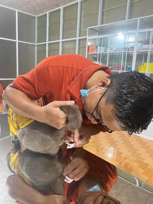 Hình ảnh Phòng Khám Thú Y Hoàng Nam 1