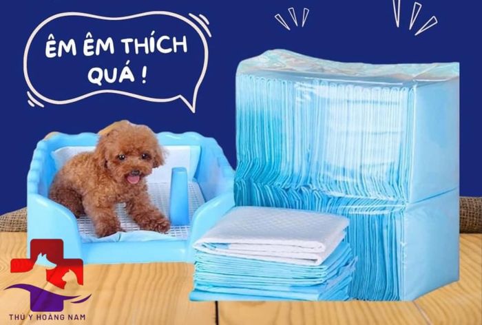 Hình ảnh Phòng Khám Thú Y Hoàng Nam 2