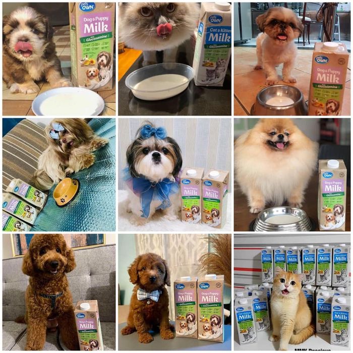 Hình ảnh Phòng Khám Thú Y Gia Huy 2