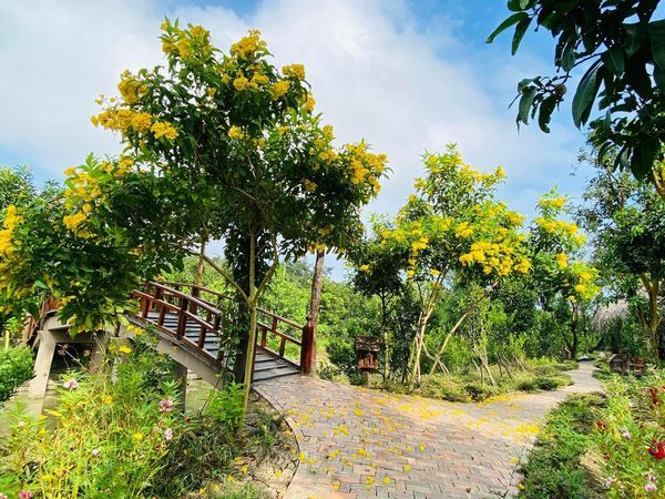Khoảnh khắc bình minh tại vườn trái cây Phi Yến
