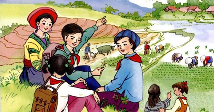 Ảnh Minh Họa (Nguồn Internet) Hình 1