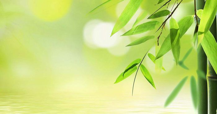 Minh họa (Nguồn internet) ảnh 1