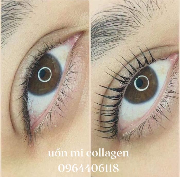 Hình ảnh 1 của Vy Võ