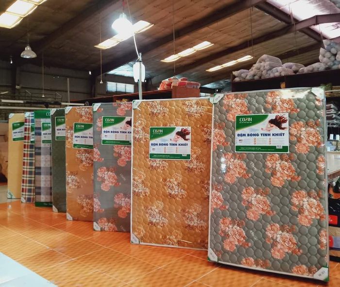 Hình ảnh sản phẩm Everhome (1)