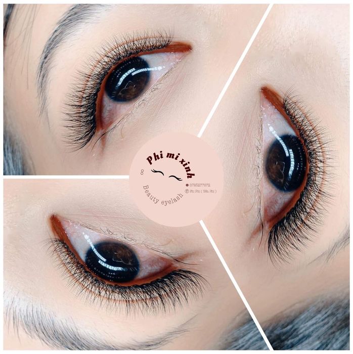 Hình ảnh tại Phi Mi Xinh 1