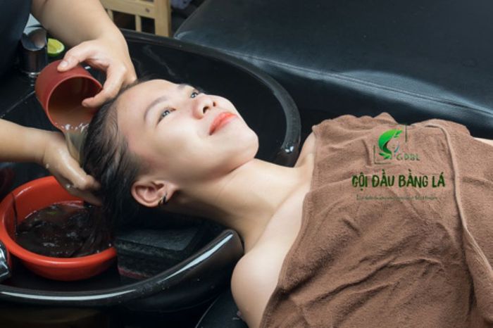 Hình Ảnh Gội Đầu Bằng Lá 1