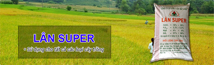 Bộ sưu tập sản phẩm phân bón chất lượng cao của Đất Xanh