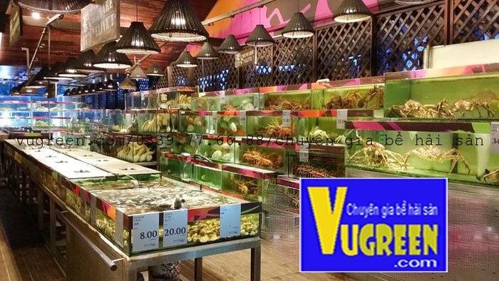Hình ảnh hệ thống lọc hiện đại của VŨ GREEN