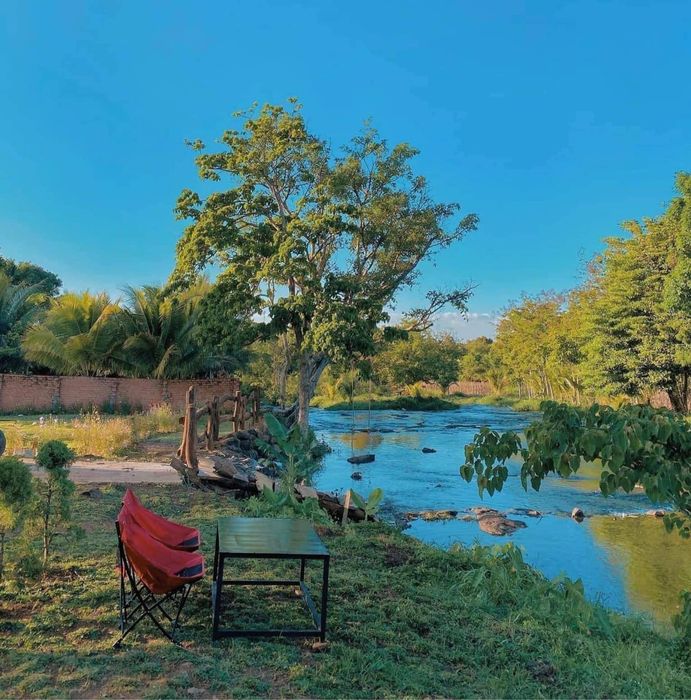 Hình ảnh 3 của Cốm Camp & Glamping