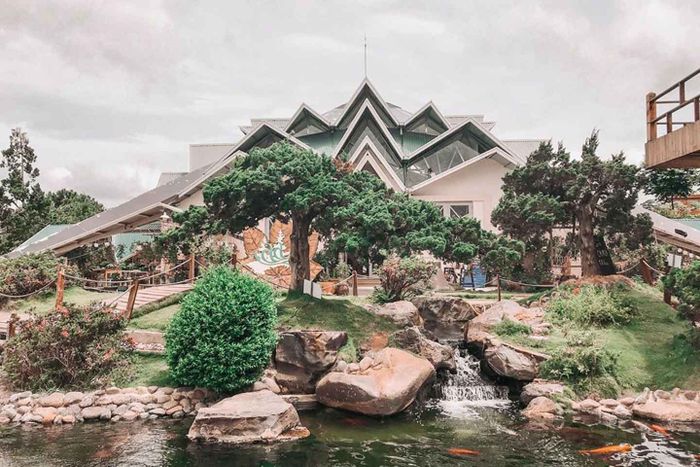 Ảnh Rừng Lá Phong 2