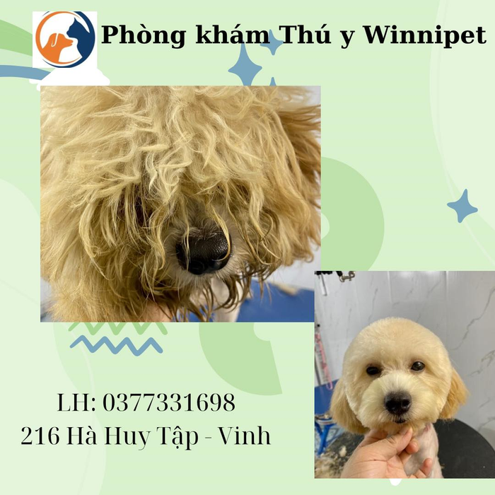 Phòng khám Thú Y Winnipet - Hình ảnh 1