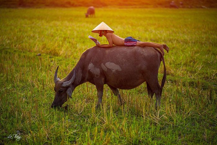 Hình ảnh minh hoạ 1