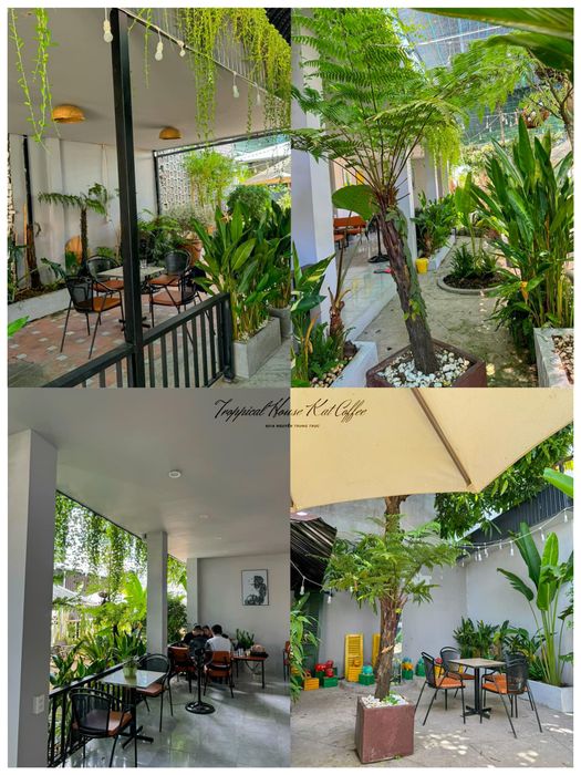 Troppical House Kat Coffee - Ốc đảo xanh mát giữa lòng đô thị